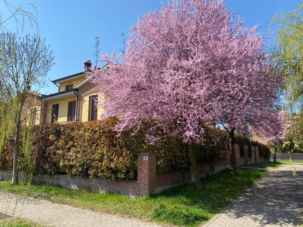 Suite Travel Home Modena Luaran gambar